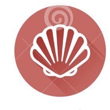 Molluscs